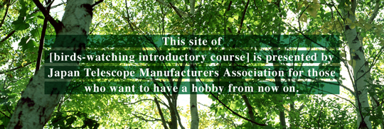 Birds-watching introductory course